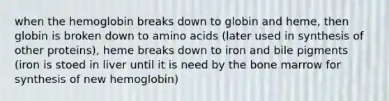 when the hemoglobin breaks down to globin and heme, then globin is broken down to amino acids (later used in synthesis of other proteins), heme breaks down to iron and bile pigments (iron is stoed in liver until it is need by the bone marrow for synthesis of new hemoglobin)