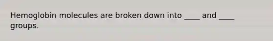 Hemoglobin molecules are broken down into ____ and ____ groups.