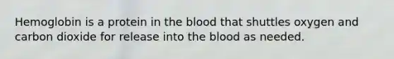 Hemoglobin is a protein in the blood that shuttles oxygen and carbon dioxide for release into the blood as needed.