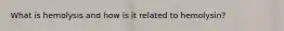 What is hemolysis and how is it related to hemolysin?