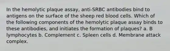 In the hemolytic plaque assay, anti-SRBC antibodies bind to antigens on the surface of the sheep red blood cells. Which of the following components of the hemolytic plaque assay binds to these antibodies, and initiates the formation of plaques? a. B lymphocytes b. Complement c. Spleen cells d. Membrane attack complex.