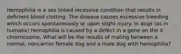 Hemophilia is a sex linked recessive condition that results in deficient blood clotting. The disease causes excessive bleeding which occurs spontaneously or upon slight injury. In dogs (as in humans) hemophilia is caused by a defect in a gene on the X chromosome. What will be the results of mating between a normal, noncarrier female dog and a male dog with hemophilia?