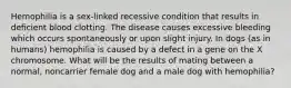 Hemophilia is a sex-linked recessive condition that results in deficient blood clotting. The disease causes excessive bleeding which occurs spontaneously or upon slight injury. In dogs (as in humans) hemophilia is caused by a defect in a gene on the X chromosome. What will be the results of mating between a normal, noncarrier female dog and a male dog with hemophilia?