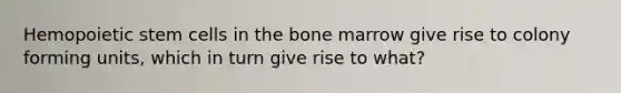 Hemopoietic stem cells in the bone marrow give rise to colony forming units, which in turn give rise to what?