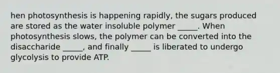 hen photosynthesis is happening rapidly, the sugars produced are stored as the water insoluble polymer _____. When photosynthesis slows, the polymer can be converted into the disaccharide _____, and finally _____ is liberated to undergo glycolysis to provide ATP.