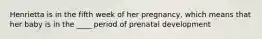 Henrietta is in the fifth week of her pregnancy, which means that her baby is in the ____ period of prenatal development