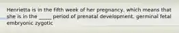 Henrietta is in the fifth week of her pregnancy, which means that she is in the _____ period of prenatal development. germinal fetal embryonic zygotic