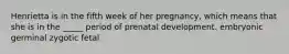 Henrietta is in the fifth week of her pregnancy, which means that she is in the _____ period of prenatal development. embryonic germinal zygotic fetal