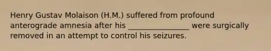 Henry Gustav Molaison (H.M.) suffered from profound anterograde amnesia after his ________________ were surgically removed in an attempt to control his seizures.