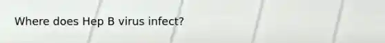Where does Hep B virus infect?