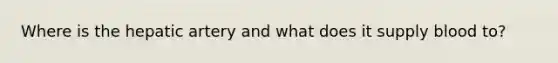 Where is the hepatic artery and what does it supply blood to?