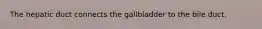 The hepatic duct connects the gallbladder to the bile duct.