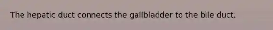 The hepatic duct connects the gallbladder to the bile duct.