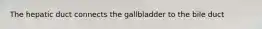 The hepatic duct connects the gallbladder to the bile duct