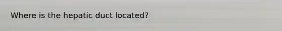 Where is the hepatic duct located?