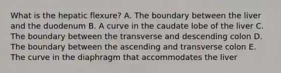 What is the hepatic flexure? A. The boundary between the liver and the duodenum B. A curve in the caudate lobe of the liver C. The boundary between the transverse and descending colon D. The boundary between the ascending and transverse colon E. The curve in the diaphragm that accommodates the liver