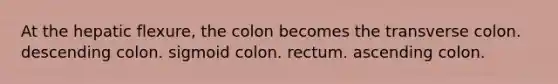 At the hepatic flexure, the colon becomes the transverse colon. descending colon. sigmoid colon. rectum. ascending colon.