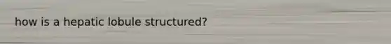 how is a hepatic lobule structured?