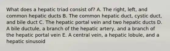 What does a hepatic triad consist of? A. The right, left, and common hepatic ducts B. The common hepatic duct, cystic duct, and bile duct C. The hepatic portal vein and two hepatic ducts D. A bile ductule, a branch of the hepatic artery, and a branch of the hepatic portal vein E. A central vein, a hepatic lobule, and a hepatic sinusoid