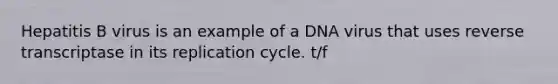 Hepatitis B virus is an example of a DNA virus that uses reverse transcriptase in its replication cycle. t/f