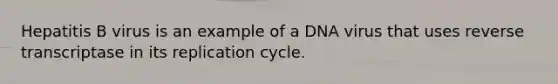 Hepatitis B virus is an example of a DNA virus that uses reverse transcriptase in its replication cycle.