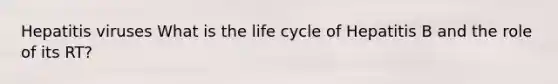 Hepatitis viruses What is the life cycle of Hepatitis B and the role of its RT?