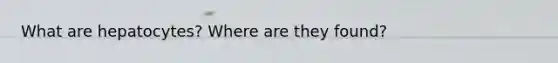 What are hepatocytes? Where are they found?