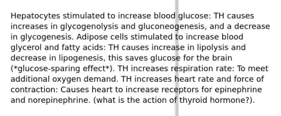 Hepatocytes stimulated to increase blood glucose: TH causes increases in glycogenolysis and gluconeogenesis, and a decrease in glycogenesis. Adipose cells stimulated to increase blood glycerol and fatty acids: TH causes increase in lipolysis and decrease in lipogenesis, this saves glucose for <a href='https://www.questionai.com/knowledge/kLMtJeqKp6-the-brain' class='anchor-knowledge'>the brain</a> (*glucose-sparing effect*). TH increases respiration rate: To meet additional oxygen demand. TH increases heart rate and force of contraction: Causes heart to increase receptors for epinephrine and norepinephrine. (what is the action of thyroid hormone?).