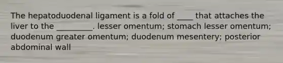 The hepatoduodenal ligament is a fold of ____ that attaches the liver to the _________. lesser omentum; stomach lesser omentum; duodenum greater omentum; duodenum mesentery; posterior abdominal wall