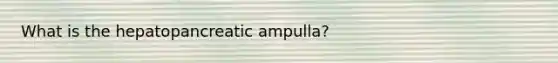 What is the hepatopancreatic ampulla?