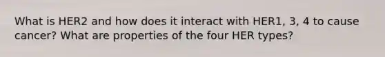 What is HER2 and how does it interact with HER1, 3, 4 to cause cancer? What are properties of the four HER types?