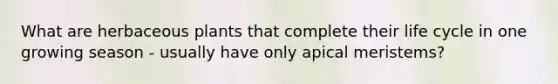 What are herbaceous plants that complete their life cycle in one growing season - usually have only apical meristems?