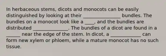 In herbaceous stems, dicots and monocots can be easily distinguished by looking at their ________________ bundles. The bundles on a monocot look like a ____, and the bundles are distributed _______________. The bundles of a dicot are found in a ______ near the edge of the stem. In dicot, a _____________ can form new xylem or phloem, while a mature monocot has no such tissue.