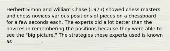 Herbert Simon and William Chase (1973) showed chess masters and chess novices various positions of pieces on a chessboard for a few seconds each. The experts did a lot better than the novices in remembering the positions because they were able to see the "big picture." The strategies these experts used is known as ____________.