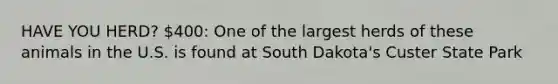 HAVE YOU HERD? 400: One of the largest herds of these animals in the U.S. is found at South Dakota's Custer State Park