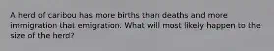 A herd of caribou has more births than deaths and more immigration that emigration. What will most likely happen to the size of the herd?