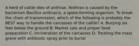 A herd of cattle dies of anthrax. Anthrax is caused by the bacterium Bacillus anthracis, a spore-forming organism. To break the chain of transmission, which of the following is probably the BEST way to handle the carcasses of the cattle? A. Burying six feet below the ground B. Market sale and proper food preparation C. Incineration of the carcasses D. Treating the mass grave with antibiotic spray prior to burial