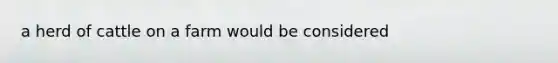 a herd of cattle on a farm would be considered