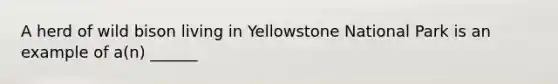 A herd of wild bison living in Yellowstone National Park is an example of a(n) ______