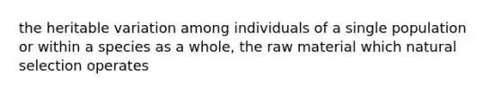 the heritable variation among individuals of a single population or within a species as a whole, the raw material which natural selection operates