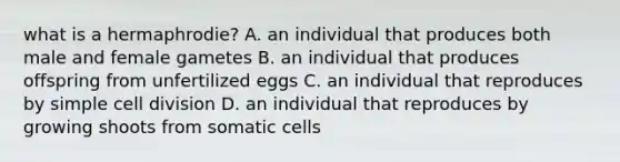 what is a hermaphrodie? A. an individual that produces both male and female gametes B. an individual that produces offspring from unfertilized eggs C. an individual that reproduces by simple cell division D. an individual that reproduces by growing shoots from somatic cells