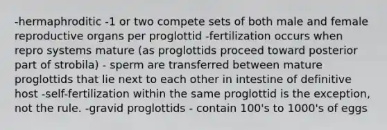 -hermaphroditic -1 or two compete sets of both male and female reproductive organs per proglottid -fertilization occurs when repro systems mature (as proglottids proceed toward posterior part of strobila) - sperm are transferred between mature proglottids that lie next to each other in intestine of definitive host -self-fertilization within the same proglottid is the exception, not the rule. -gravid proglottids - contain 100's to 1000's of eggs