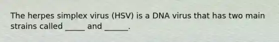 The herpes simplex virus (HSV) is a DNA virus that has two main strains called _____ and ______.