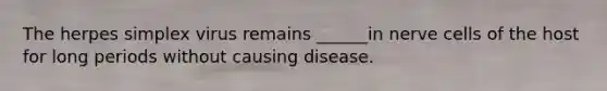 The herpes simplex virus remains ______in nerve cells of the host for long periods without causing disease.