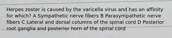 Herpes zoster is caused by the varicella virus and has an affinity for which? A Sympathetic nerve fibers B Parasympathetic nerve fibers C Lateral and dorsal columns of the spinal cord D Posterior root ganglia and posterior horn of the spinal cord