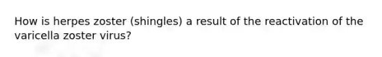 How is herpes zoster (shingles) a result of the reactivation of the varicella zoster virus?