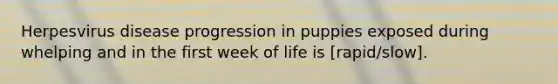 Herpesvirus disease progression in puppies exposed during whelping and in the first week of life is [rapid/slow].