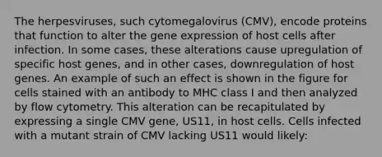 The herpesviruses, such cytomegalovirus (CMV), encode proteins that function to alter the gene expression of host cells after infection. In some cases, these alterations cause upregulation of specific host genes, and in other cases, downregulation of host genes. An example of such an effect is shown in the figure for cells stained with an antibody to MHC class I and then analyzed by flow cytometry. This alteration can be recapitulated by expressing a single CMV gene, US11, in host cells. Cells infected with a mutant strain of CMV lacking US11 would likely: