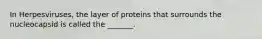 In Herpesviruses, the layer of proteins that surrounds the nucleocapsid is called the _______.