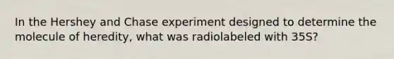 In the Hershey and Chase experiment designed to determine the molecule of heredity, what was radiolabeled with 35S?